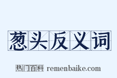 葱头反义词是什么意思的图片